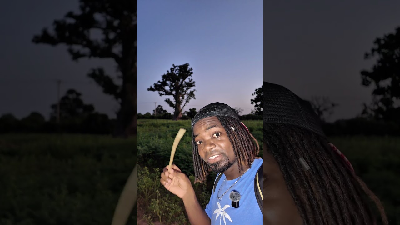 Controverse autour du discours du président sénégalais Diomaye Faye au Kenya 🇰🇪