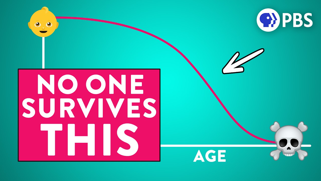 Can You Predict Your Death? 🤔