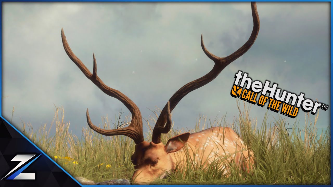 First Look at TruRACS Axis Deer - EW Does It Again 🦌