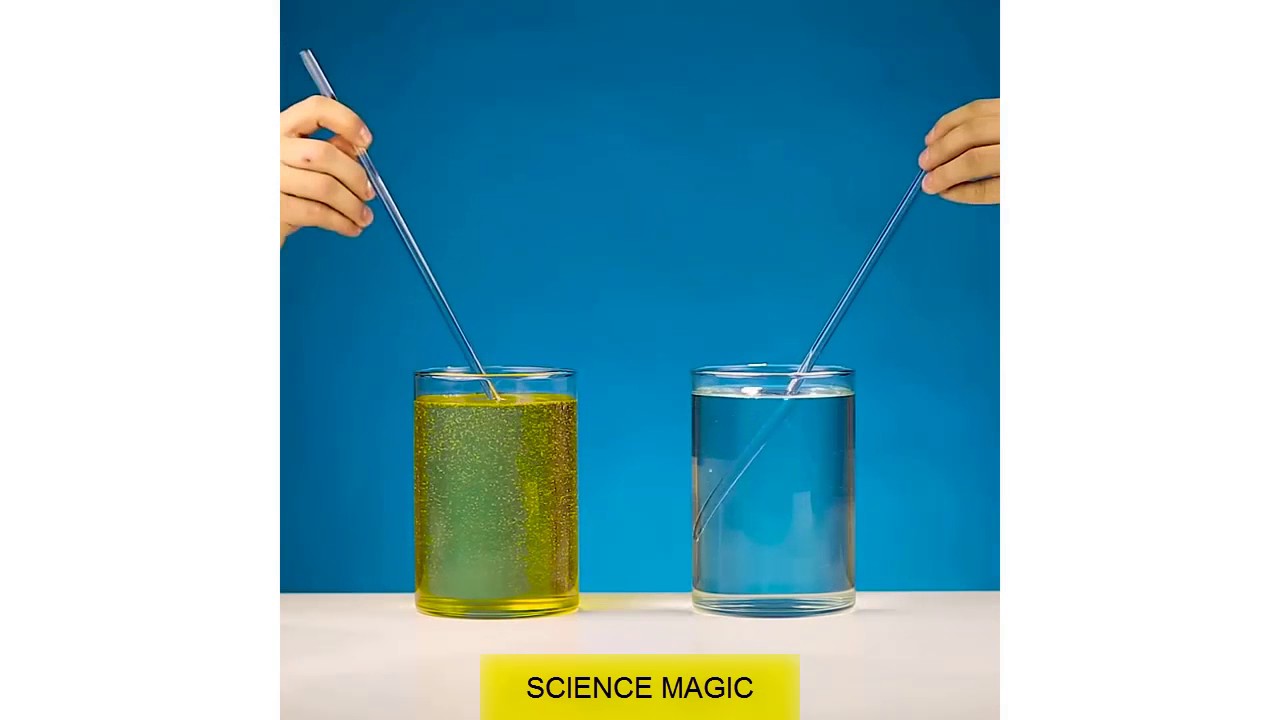 Science Magic: Amazing Refraction Experiments You Can Try! ✨