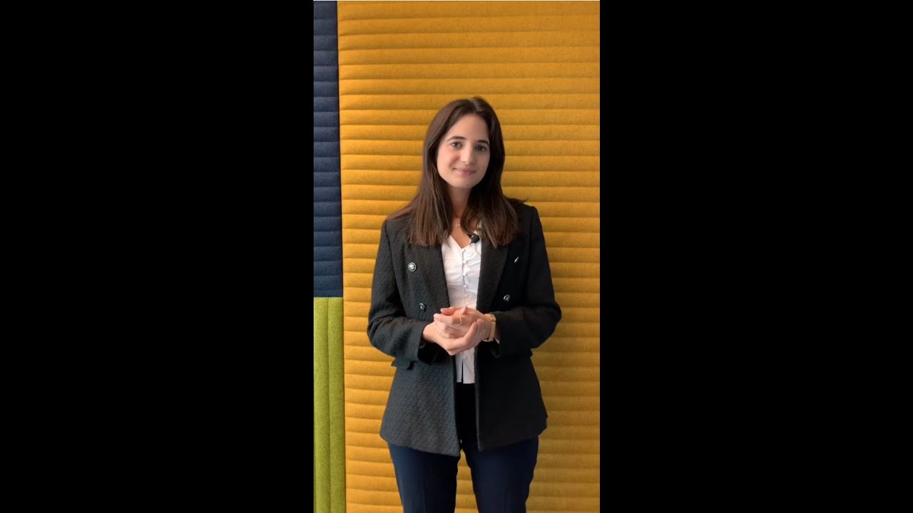 Digital Euro vs Crypto-Assets: Key Differences