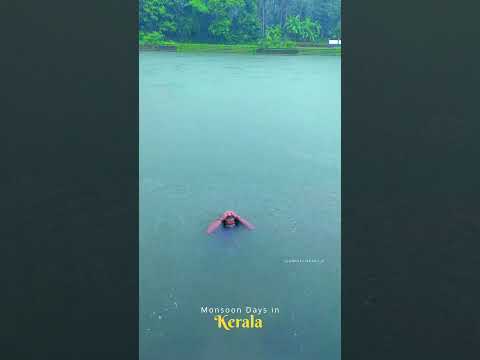 Monsoon days in kerala.. ЁЯТЪ#monsoon #kerala #nature #travel