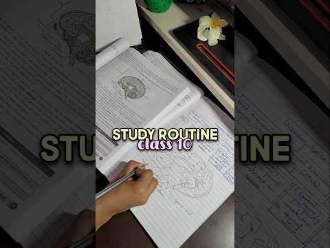 after school study routine #class10 #productive
