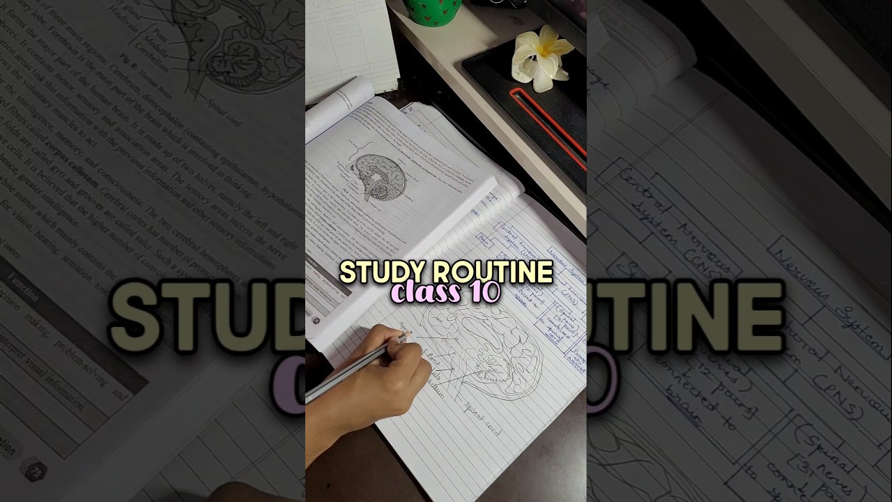 Ultimate After-School Study Routine for Class 10 Students 📚