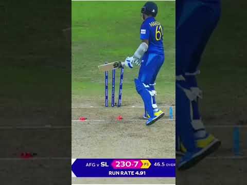 Afghan cricket
