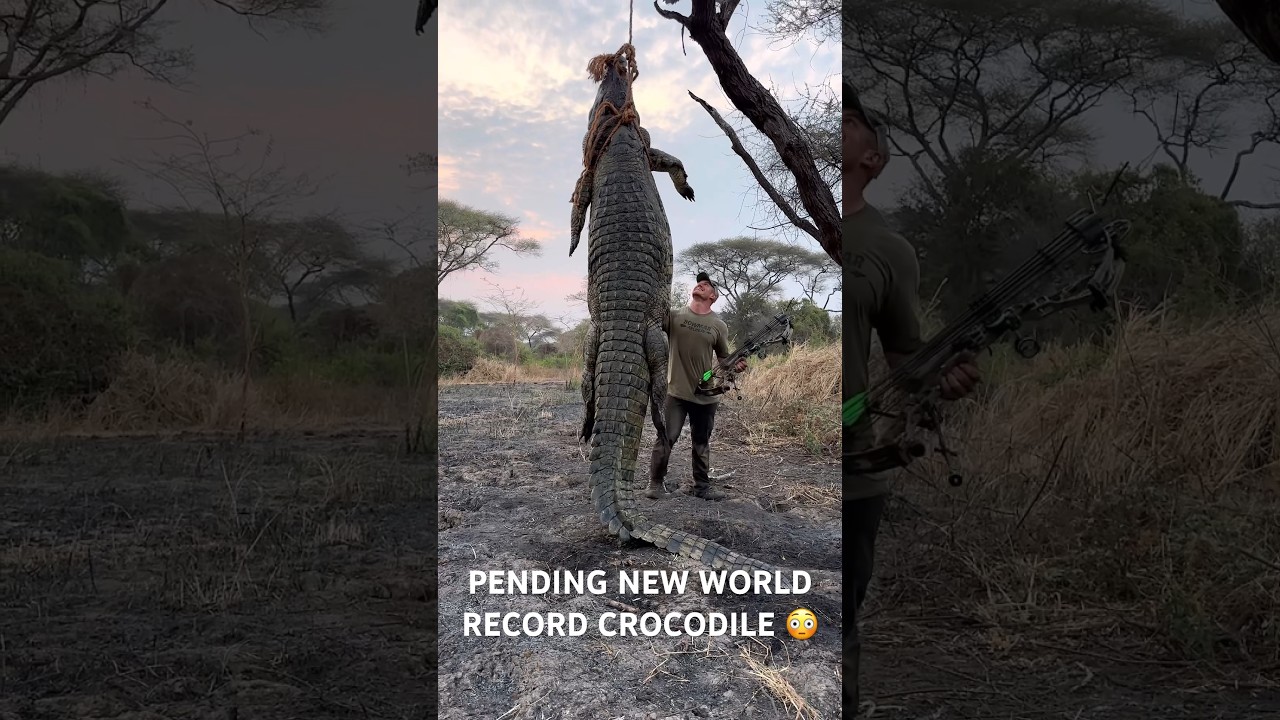 Josh Bowmar Sets New World Record with Crocodile π