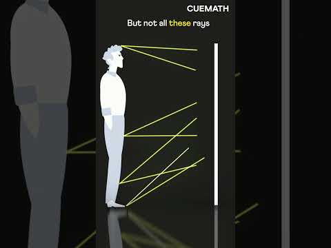 Do You Really Need a Full-Length Mirror? Discover the Surprising Truth