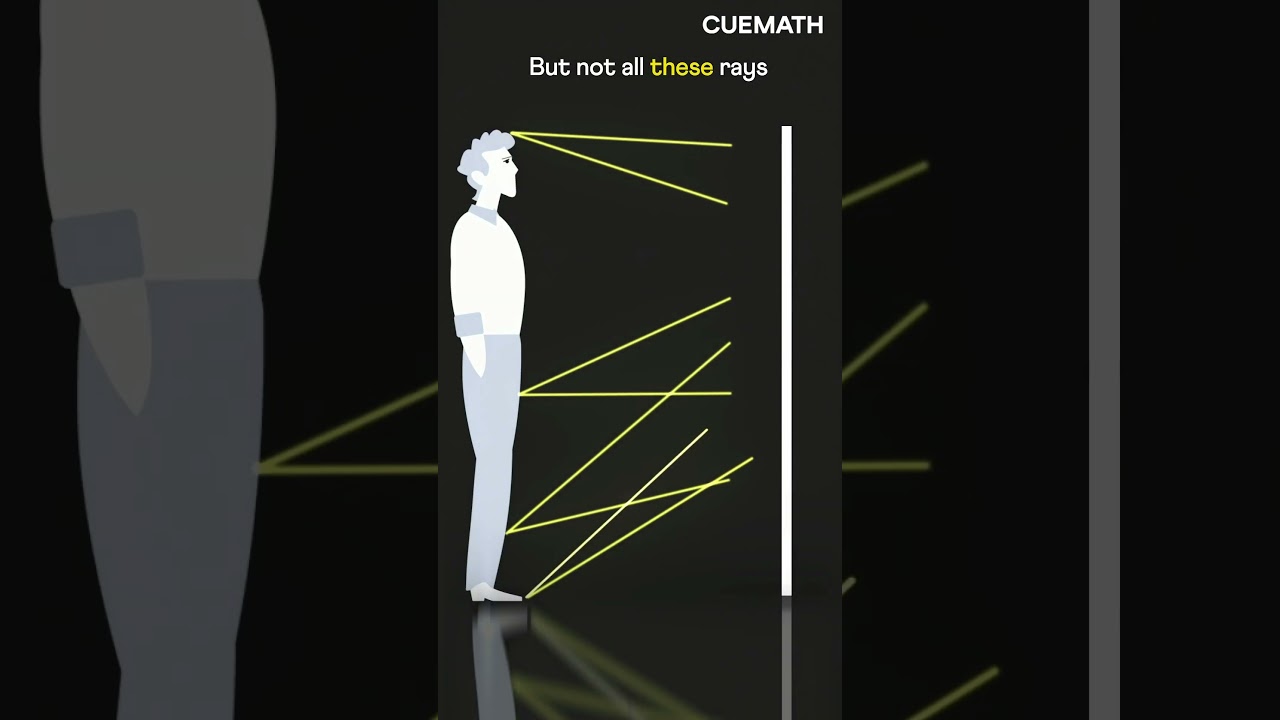 Do You Really Need a Full-Length Mirror? Discover the Surprising Truth