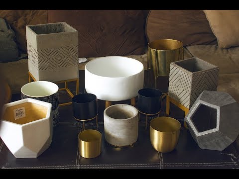 Best Planters for Indoor Houseplants