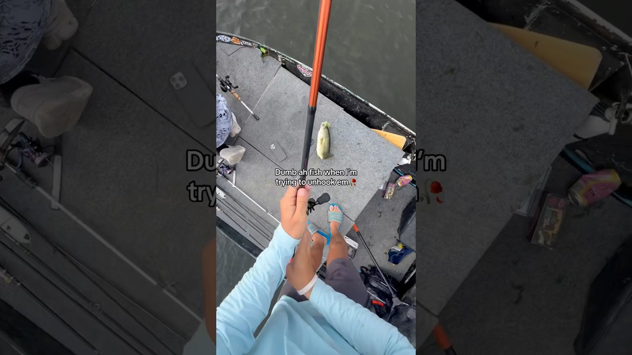 Why Won't the Fish Calm Down? 😅 | Funny Fishing Moments