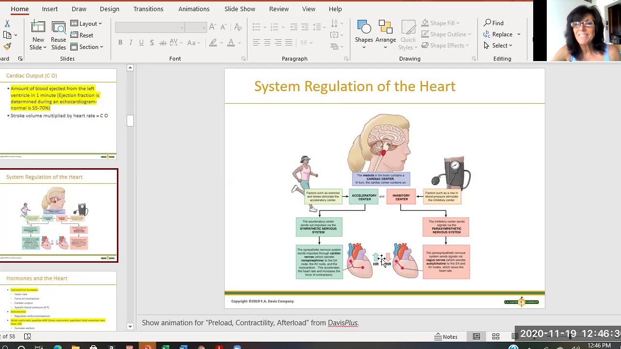 Cardiovascular System: Anatomy, Function & Assessment