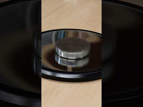 You spin me right round - Euler’s disc