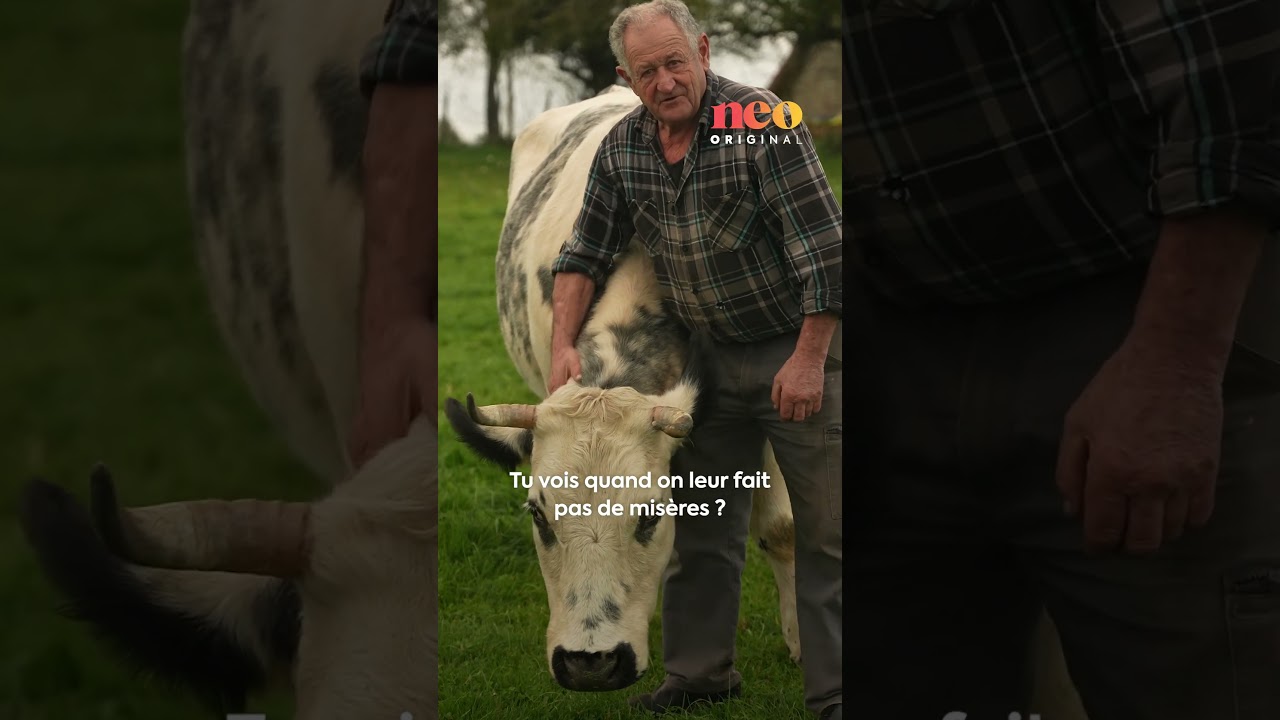 Jean-Louis, le « dernier des Gaulois », loue les animaux 🐄