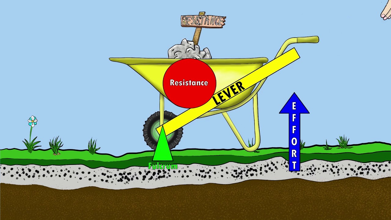 The 3 Classes of Levers || How we use levers in the world and our bodies || By: Kinesiology Kris