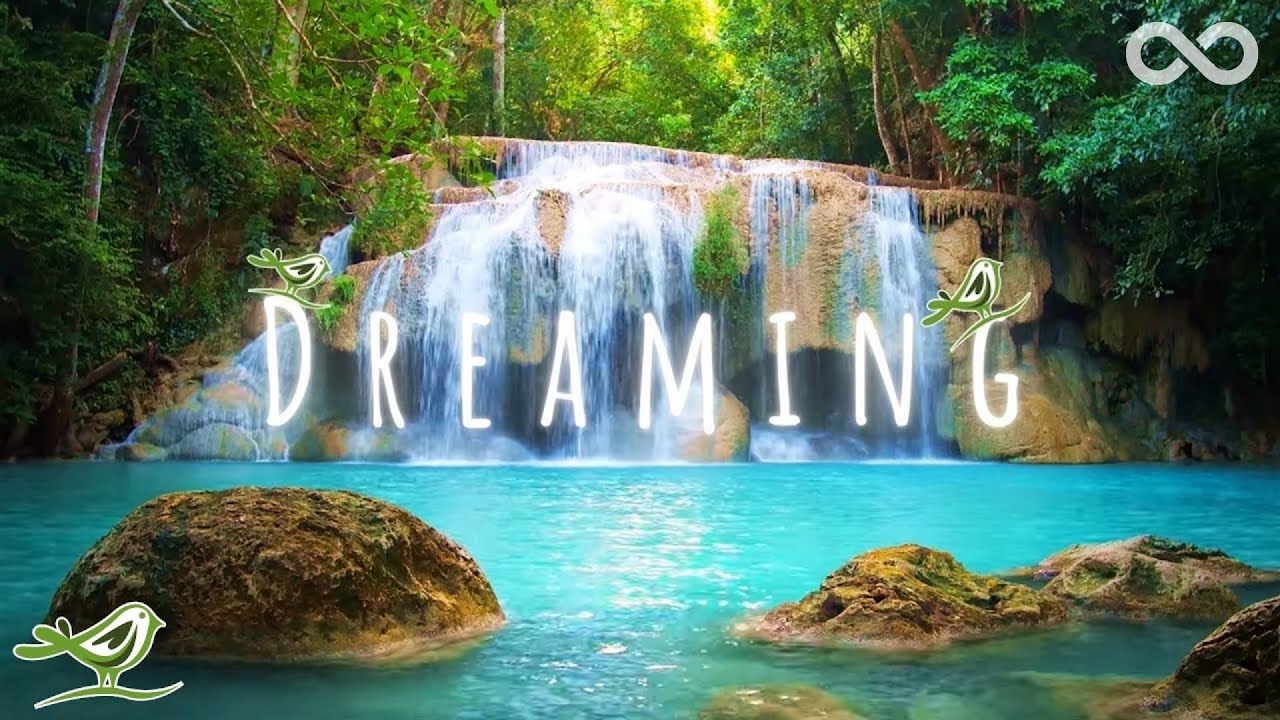 Dreaming: Relaxing Zen Music & Water Sounds 🌊