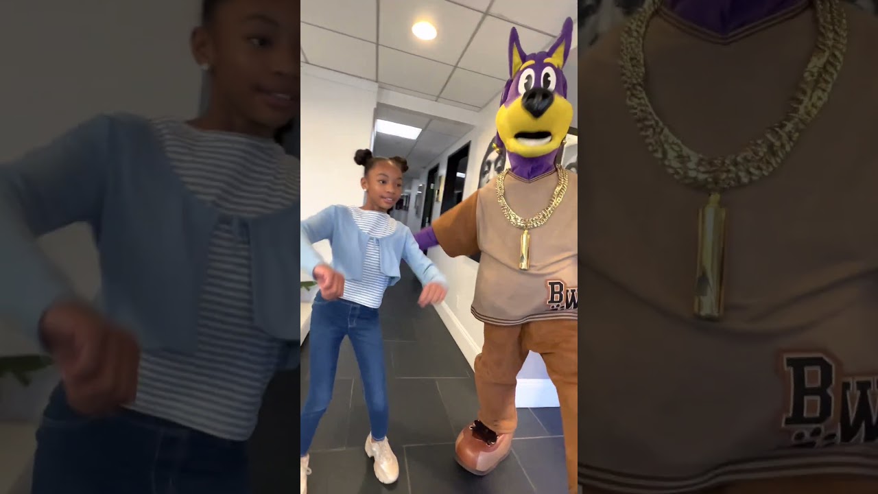 Exciting Collab with Gracie's Corner & Doggyland! 🐶