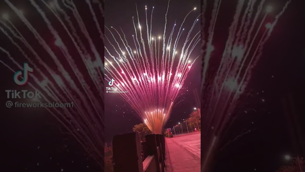 Petasan Kembang Api Seru! 🎆