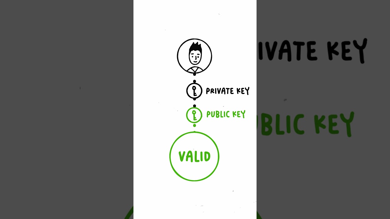 Week 2, Lesson 3: Cryptography Basics – Keys, Censorship Resistance & Trustless Systems 🔐