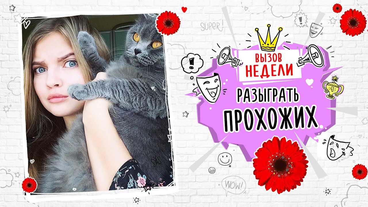 Вызов без правил: Алина Солопова 🎉