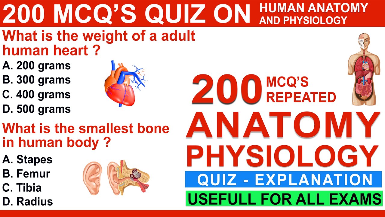 200 anatomy and physiology question mcq quiz | anatomy and physiology question & answers | mcqs quiz