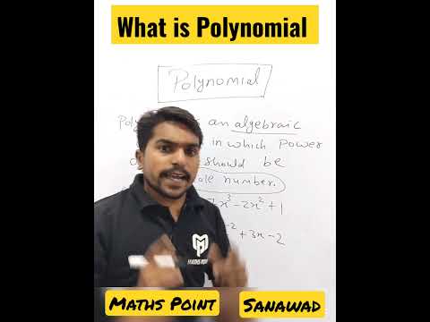 Understanding Polynomials: A Quick Overview