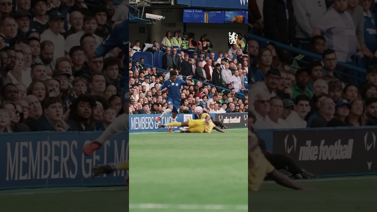 ESTÊVÃO's Chelsea FC Highlights ⚽