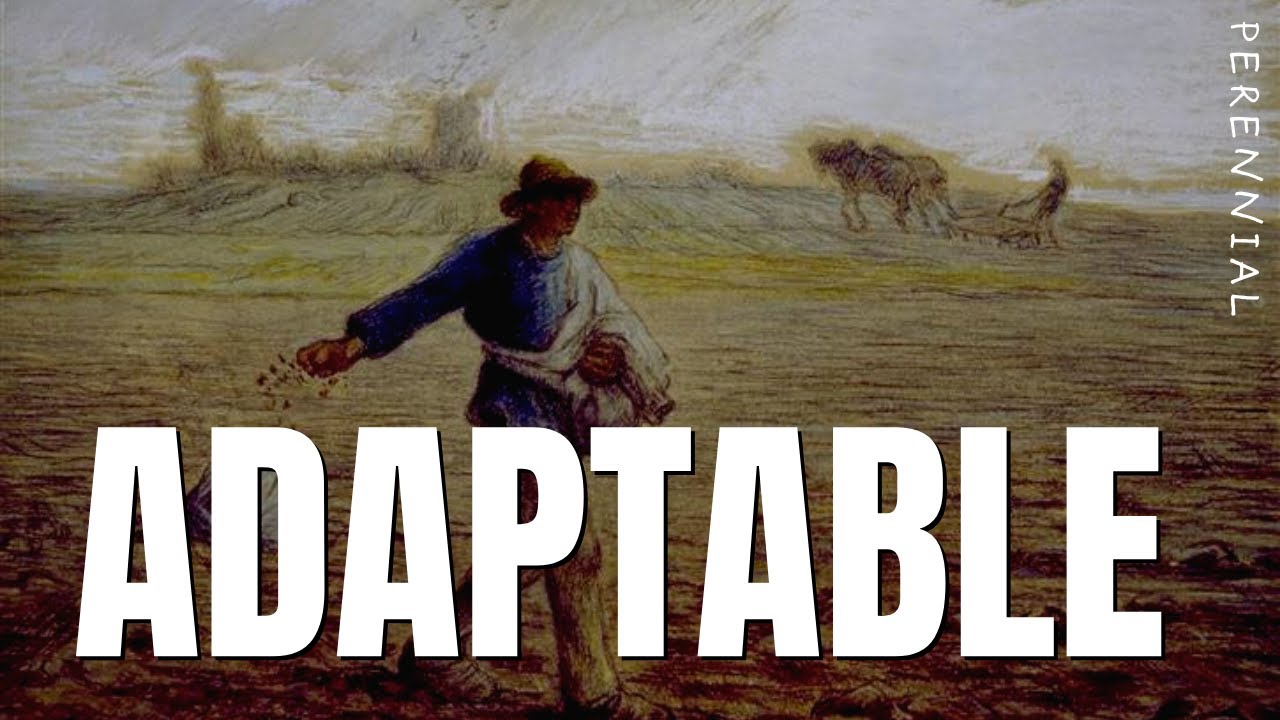 Master Adaptability with Stoic Wisdom 🌿