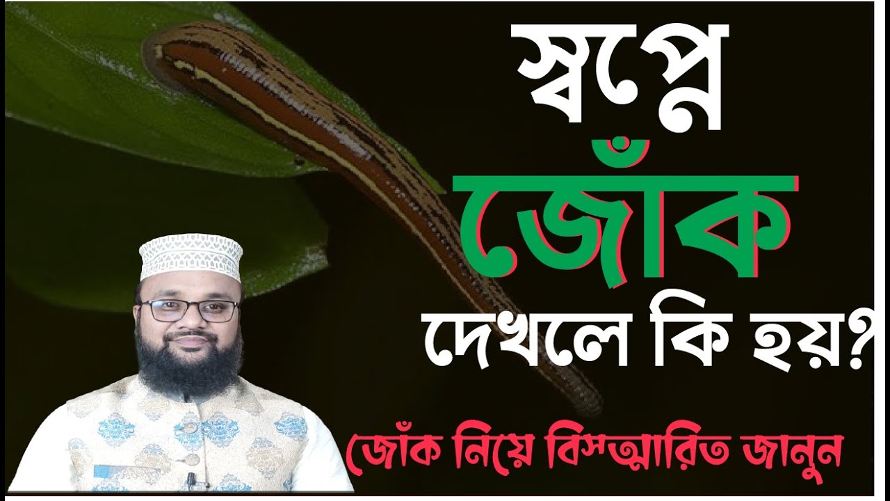 স্বপ্নে জোক দেখার অর্থ ও ফলাফল 💤