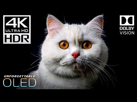 Unforgettable Beauty of 4K Videos - 4K HDR 120fps | Dolby Vision