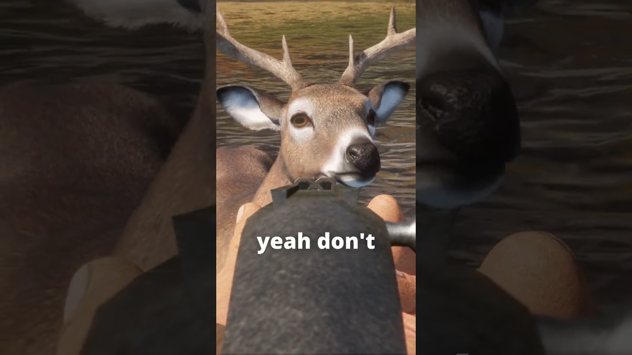 He Just Stood There and Took It 😫🦌🔫
