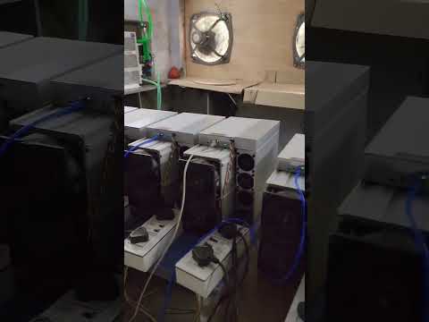 Asic miners (bitcoin miners) at cheapest price plus renting. Contact - 8433766436.