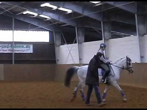 Savannah & Julia at Andre Hecker's Dressurlehrgang, Feb 2013