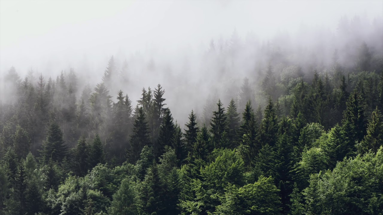 Enigma - Sadeness (1 Hour Extended Version)