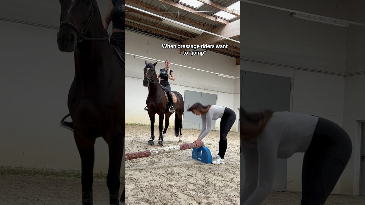 Still Way Too High... #equestrian #horse #short #viral