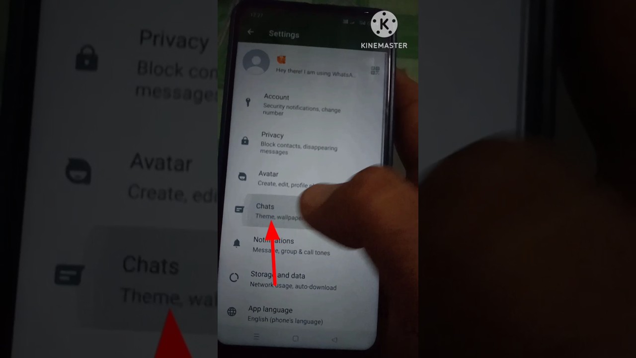 How to Prevent WhatsApp Photos and Videos from Saving to Gallery