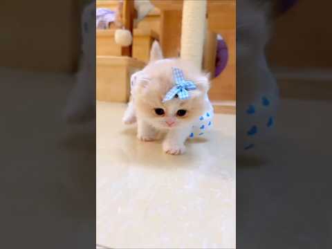 Cute mimi 😻💕💖