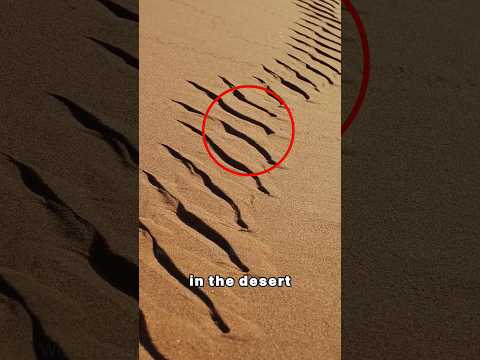 These marks in the desert can kill you #shorts