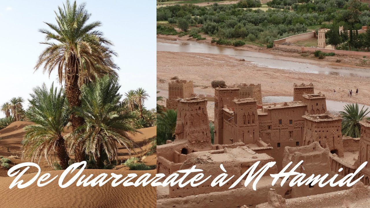 Circuit Authentique de Ouarzazate à M'Hamid 🌄