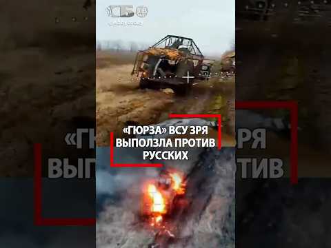 Ядовитая змея ВСУ выползла против русских! Редкая добыча Гюрза Украины поджарена с гарниром Хамви!