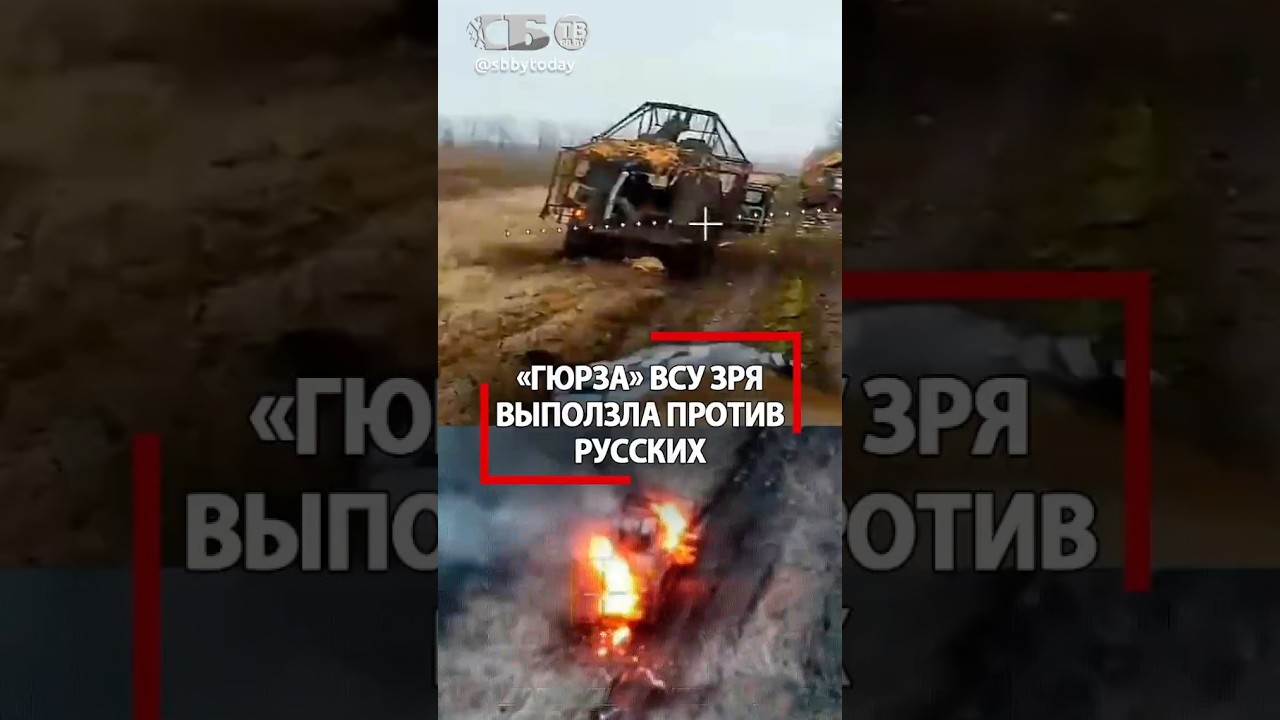 Ядовитая змея ВСУ поджарена при попытке остановить русских 🐍