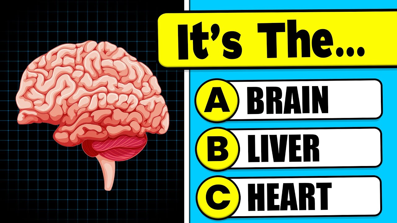 Ultimate General Knowledge Quiz: 100 Questions 🧠