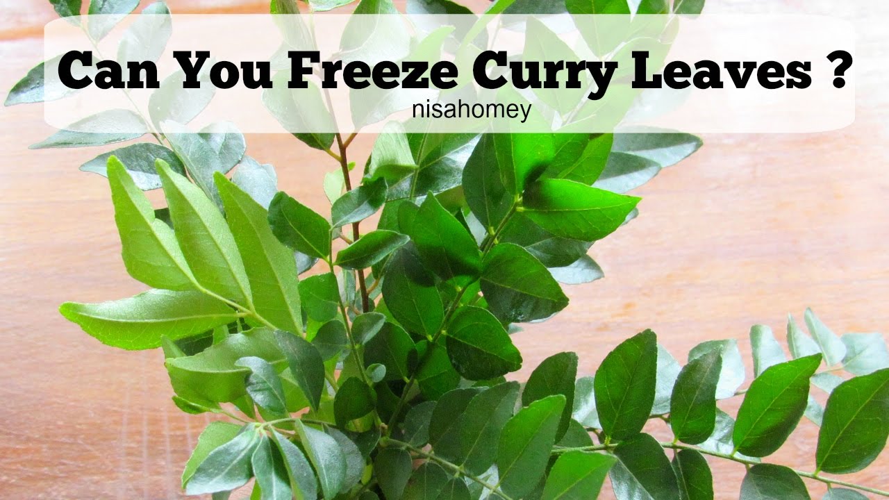 Freezing Curry Leaves: Easy Tips 🌿