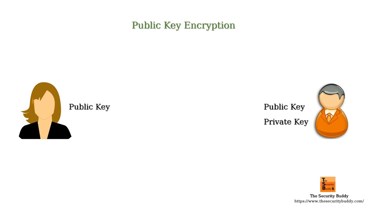Public Key Encryption Explained 🔐 | Simple & Clear Guide