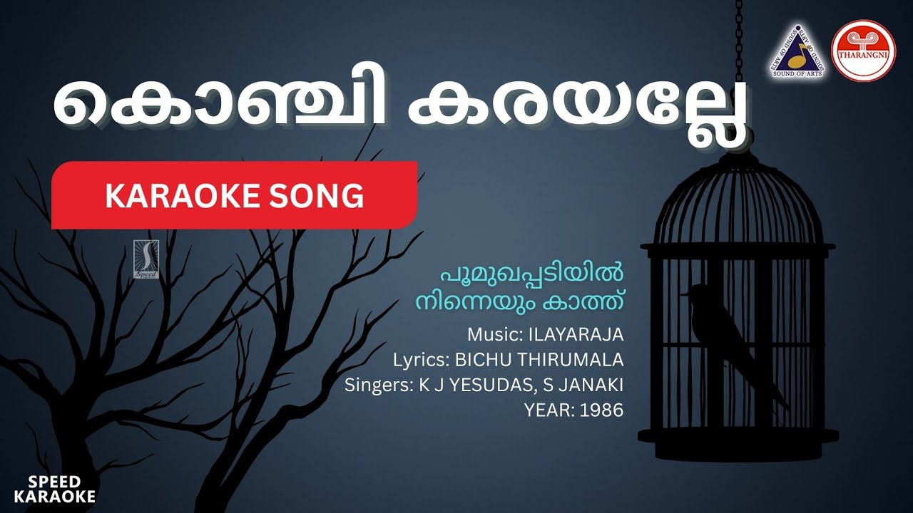 കൊഞ്ചി കരയല്ലേ - Poomukhapadiyil Ninneyum Kathu 🎶
