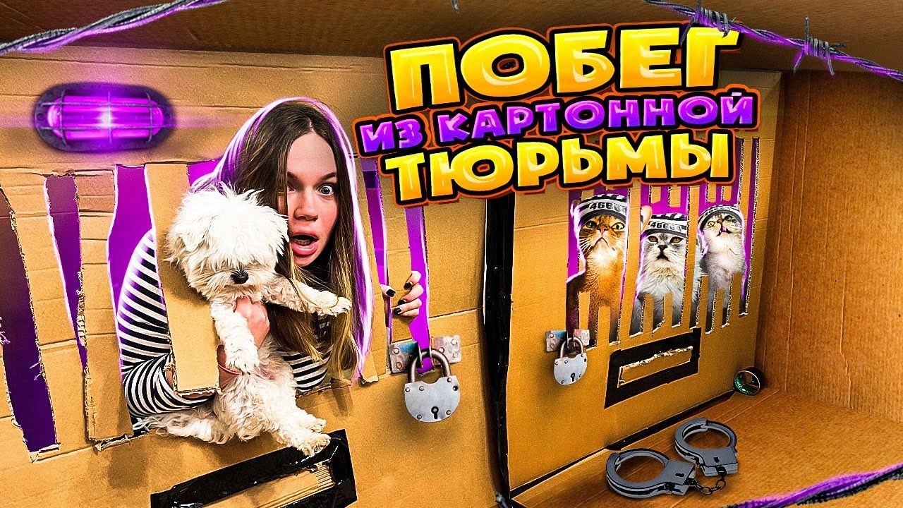 Побег из картонной тюрьмы с котами Челлендж
