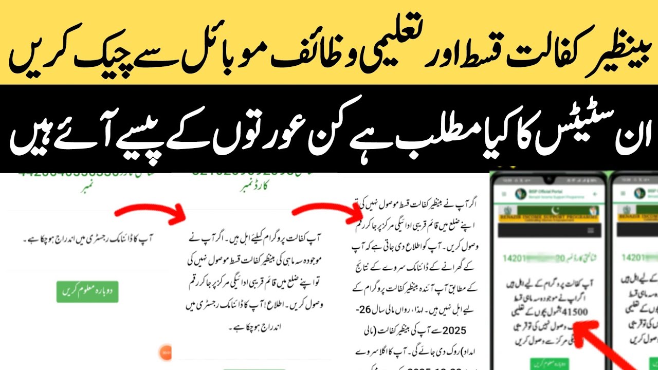 8171 web portal update | Bisp payment check by cnic | Taleemi Wazaif check karne ka tarika 8171