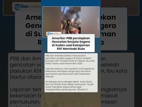 Amerika dan PBB Persipakan Gencatan Senjata Segera di Sudan Usai RSF Kuasai Kota el-Fasher