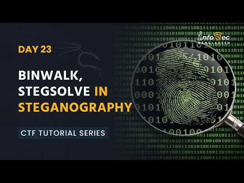[বাংলা] Beginner To Advance CTF #Day​​-23 -Binwalk, Stegsolve In Steganography