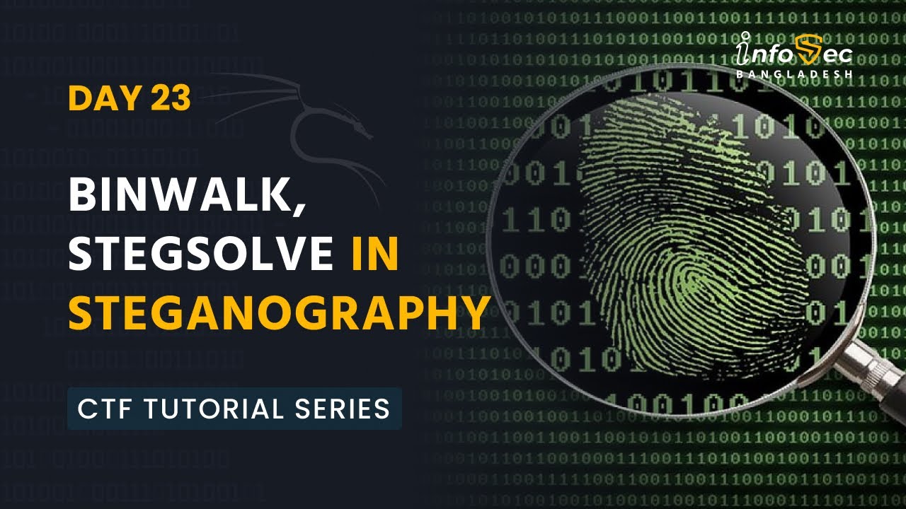 Master Steganography in CTFs: Binwalk & Stegsolve Tutorial for Beginners 📁