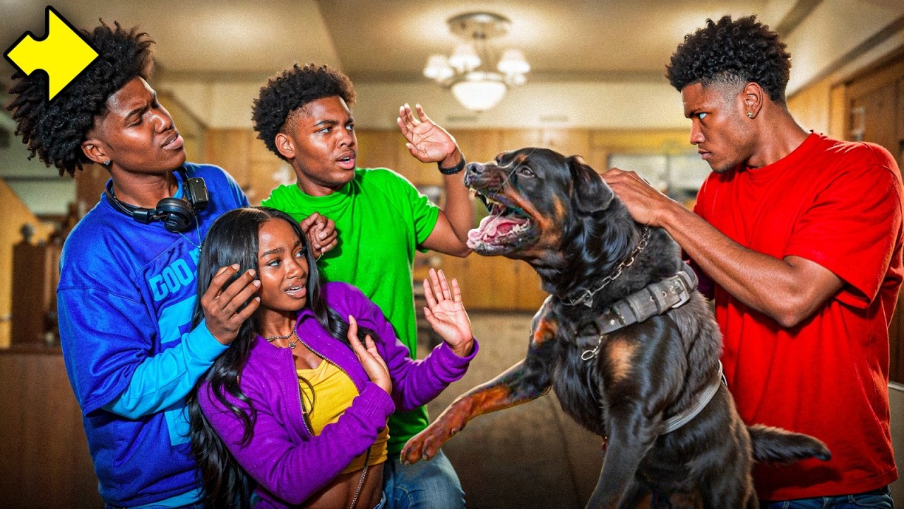 Neighbor Trains Dog to Attack Us! 😱 | Shocking Footage